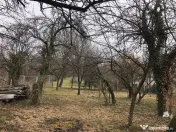 Teren intravilan Breaza oportunitate investitie 