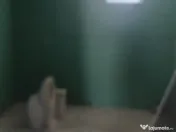 Vila Nadab - ID : RH-32230-property 