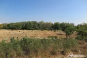 Teren intravilan - Zona Aradul Nou 