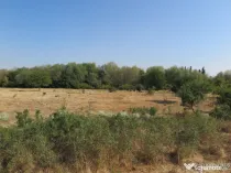 Teren intravilan - Zona Aradul Nou