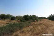 Teren intravilan - Zona Aradul Nou 