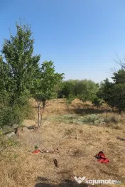 Teren intravilan - Zona Aradul Nou 
