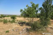 Teren intravilan - Zona Aradul Nou 