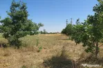 Teren intravilan - Zimand Cuz