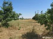 Teren intravilan - Zimand Cuz 