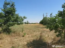 Teren intravilan - Zimand Cuz