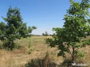 Teren intravilan - Zimand Cuz 