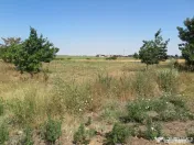 Teren intravilan - Zimand Cuz 