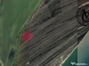 Investitie- Teren Corbu-Grindul Lui Chituc 