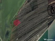 Investitie- Teren Corbu-Grindul Lui Chituc