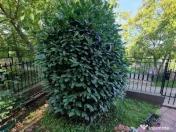 Casa Eoiscopia Bihor 