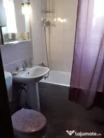 2 camere zona Badea Cartan