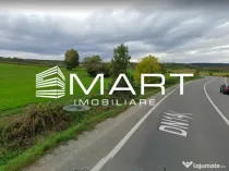 Teren extravilan 42000MP Seica Mare - Sibiu