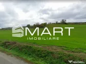 Teren extravilan 42000MP Seica Mare - Sibiu 