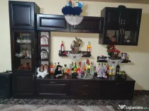 Vila P+M si spatiu comercial, Stefan cel mare