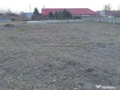 Crucea, teren 1.000mp,cu fundatie,proiect si autorizatie P+M 