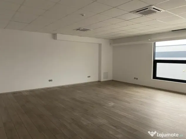 Spatiu de depozitare si productie Mogosoaia