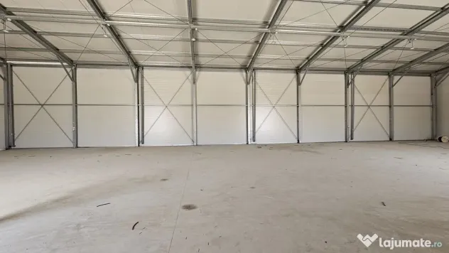 Hale noi in zona industriala Progresul, Jilava