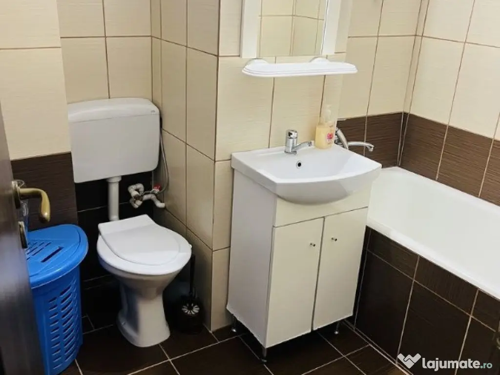 Apartament cu o camera in zona Dambovita