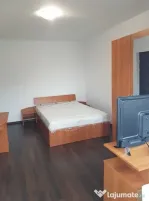 Apartament cu o camera in zona Dambovita