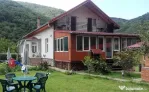 Casa de vacanta in Herculane - ID : RH-23254-property