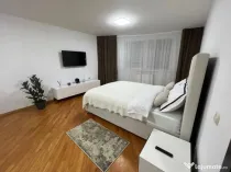 Apartament o camera zona Intre Lacuri
