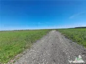Loturi teren de Branesti/Vadu Anei 