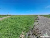 Loturi teren de Branesti/Vadu Anei 