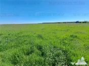 Loturi teren de Branesti/Vadu Anei 