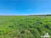 Loturi teren de Branesti/Vadu Anei 