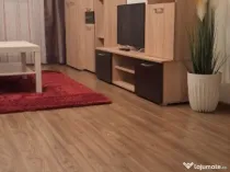 Apartament cu 2 camere in zona Gruia