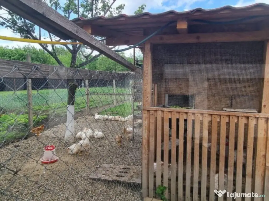 Casa individuala, 4 camere, 200 mp si teren 1800 mp, Magurel