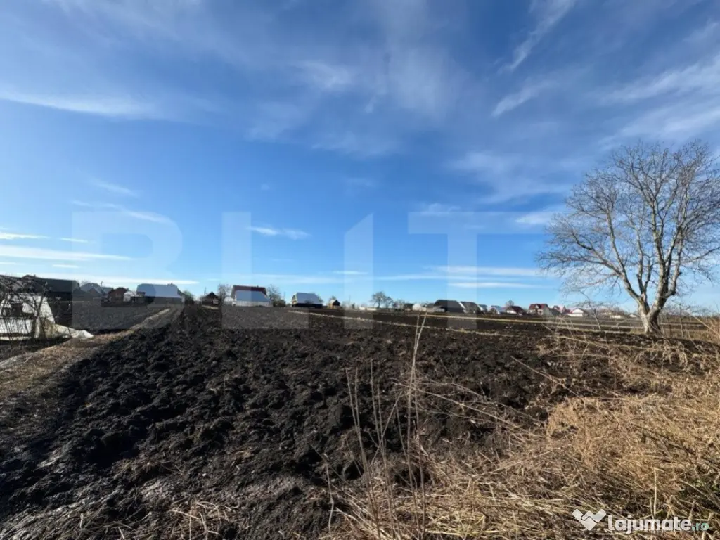 Casa individuala, in Costisa, Fratautii Noi