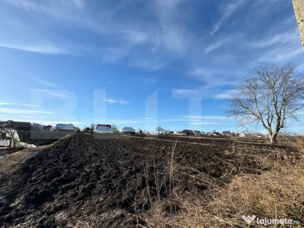 Casa individuala, in Costisa, Fratautii Noi