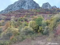 Teren extravilan 16121 mp apa si curent, ideal pentru cabane