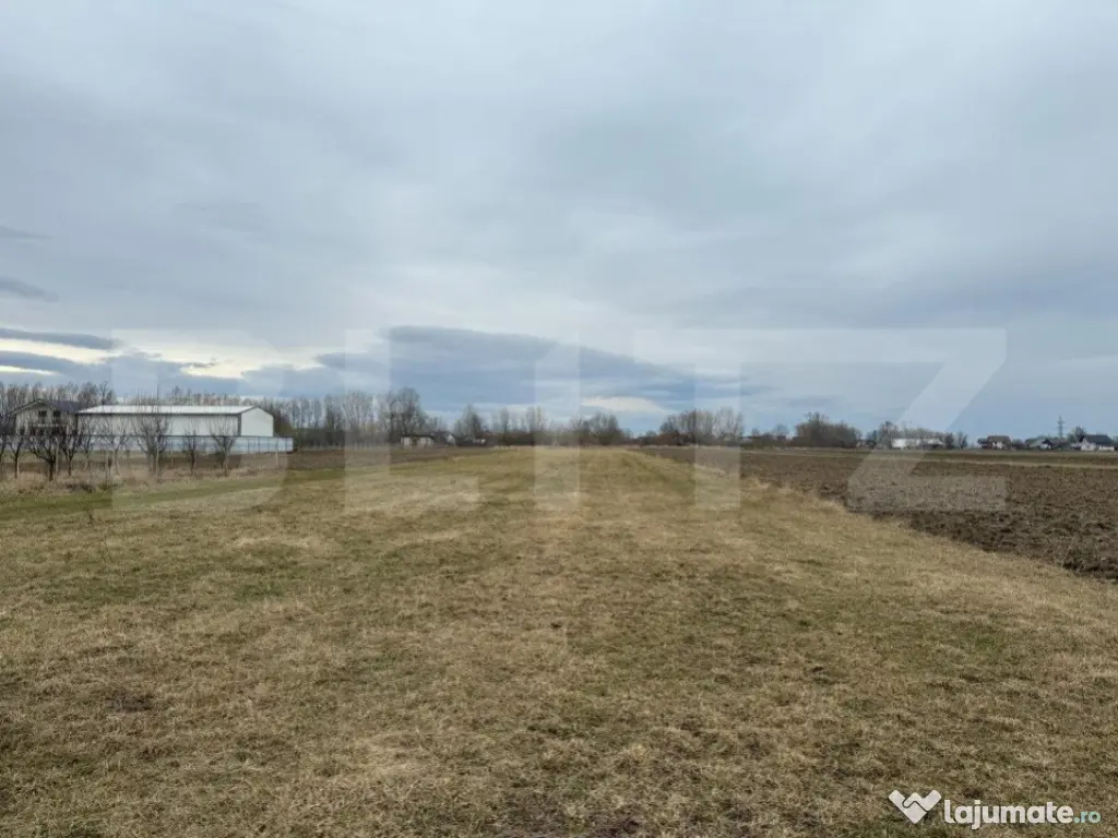 Teren intravilan, 5200MP, centura Radauti