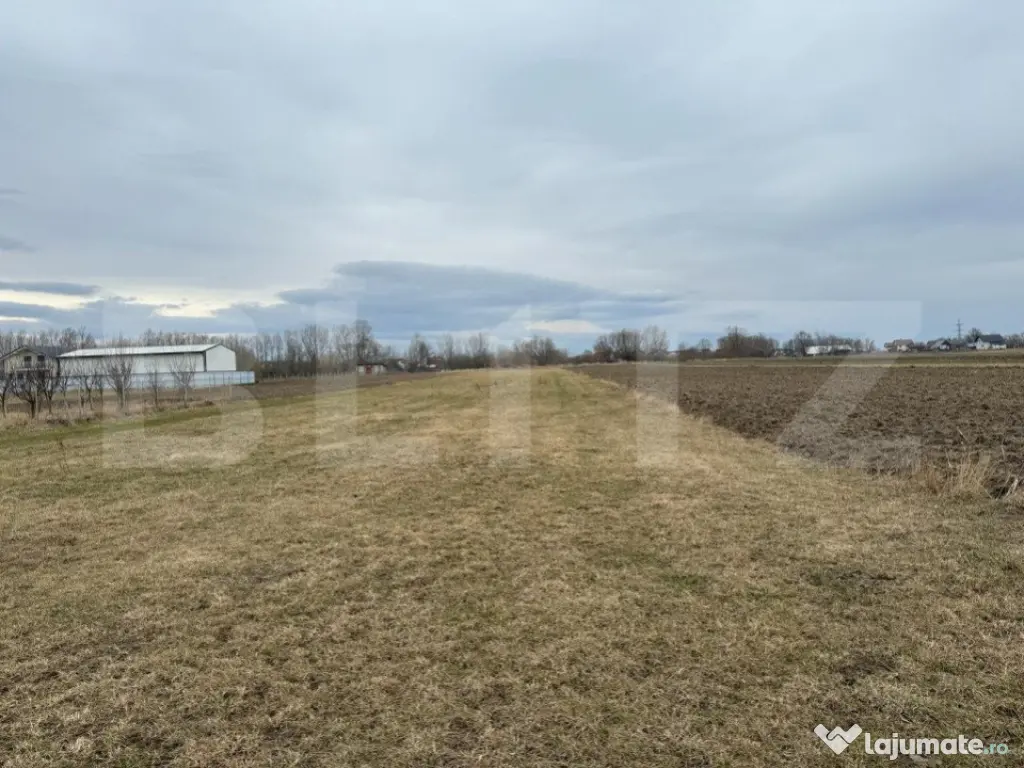 Teren intravilan, 5200MP, centura Radauti