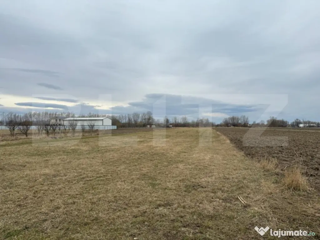 Teren intravilan, 5200MP, centura Radauti