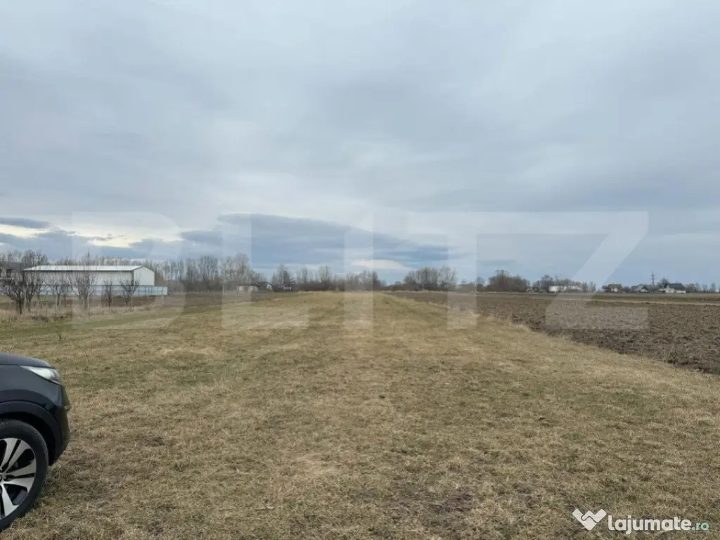 Teren intravilan, 5200MP, centura Radauti