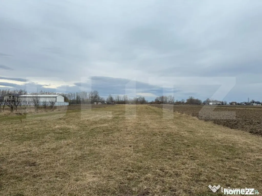 Teren intravilan, 5200MP, centura Radauti