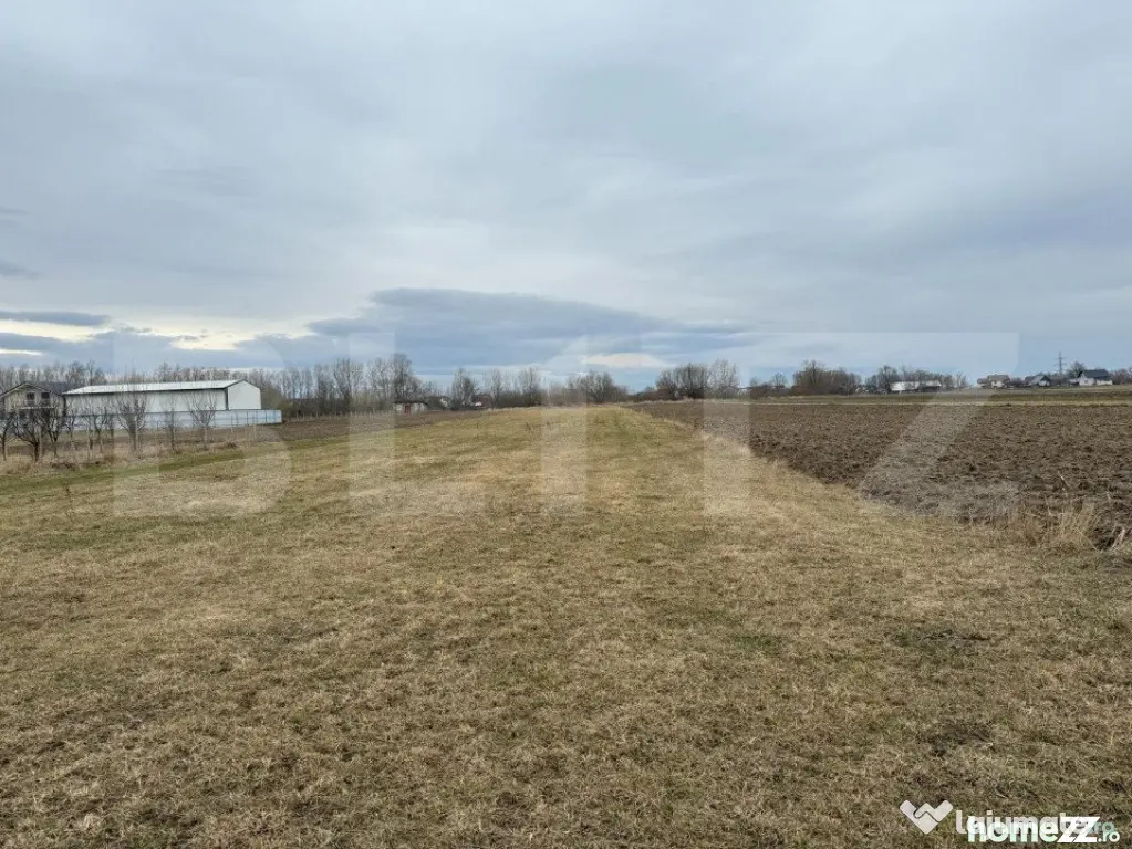 Teren intravilan, 5200MP, centura Radauti