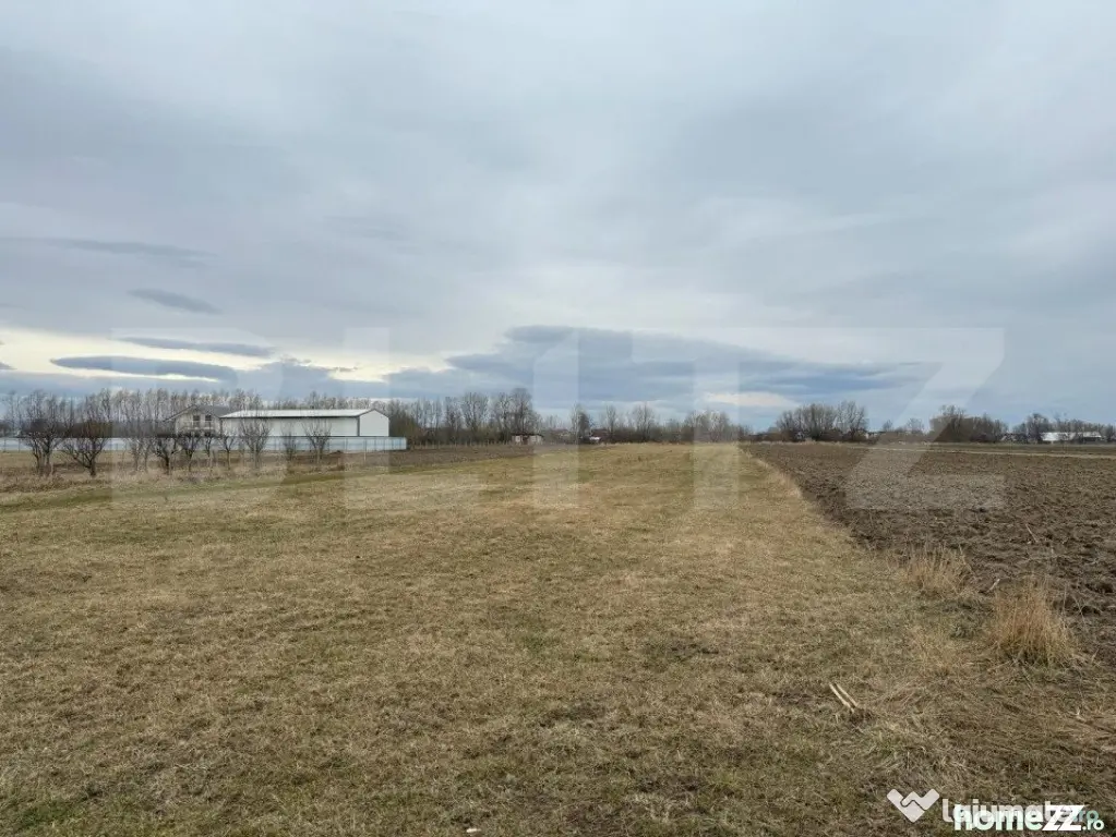 Teren intravilan, 5200MP, centura Radauti