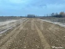 Teren intravilan, parcelabil, 15000mp, Marginea