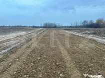 Teren intravilan, parcelabil, 15000mp, Marginea