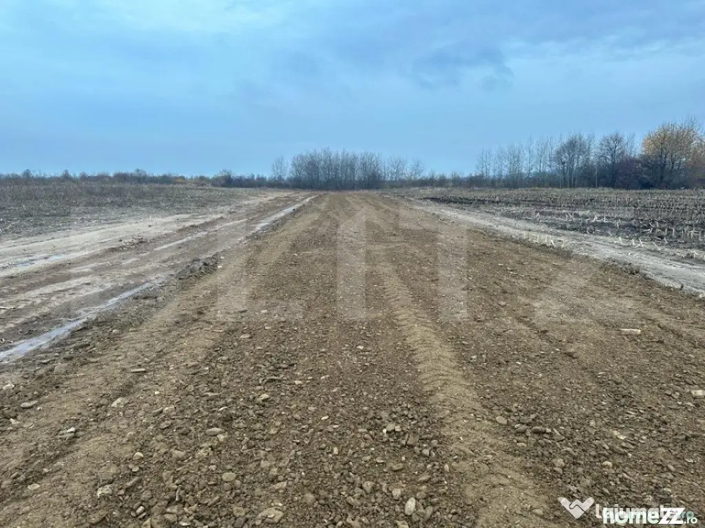 Teren intravilan, parcelabil, 15000mp, Marginea
