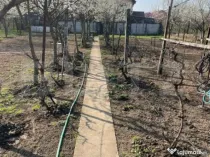 Teren de vanzare 1850 mp front de 21, Sanandrei!