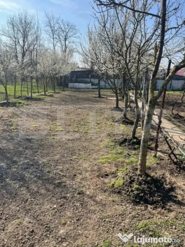 Teren de vanzare 1850 mp front de 21, Sanandrei!