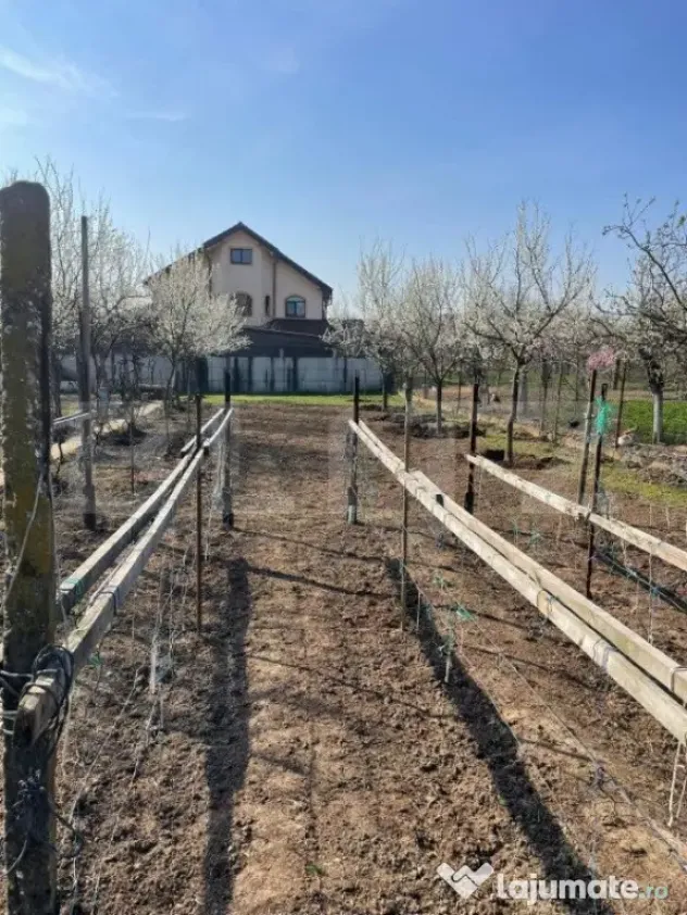 Teren de vanzare 1850 mp front de 21, Sanandrei!