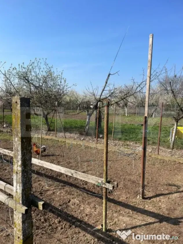Teren de vanzare 1850 mp front de 21, Sanandrei!