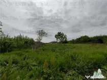 Teren Balotesti - Central